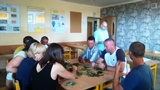 kurs zieleni h m